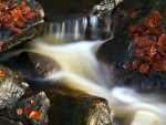 Waterfall in Autumn