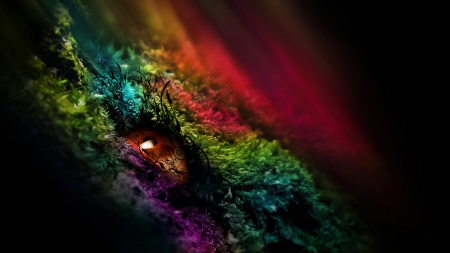 eye - eye, fantasy, nature, color