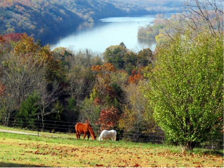 somewhere in heaven - horses, lakes, animals, scenery