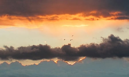 Twilight - nature, sky, photography, clouds, sunset, birds