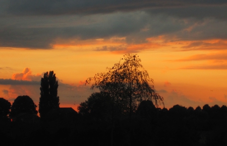 Suns@t - nature, clouds, photography, sunsets, tree, sunset