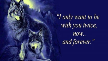 to be with you - wolfrunning, snow, dog, mythical, the pack, wisdom beautiful, grey wolf, timber, canis lupus, abstract, spirit, friendship, howling, grey, white, nature, arctic, wallpaper, majestic, wolf, canine, pack, wild animal black, wolf wallpaper, winter, wolf pack, quotes, howl, wolves, black, lobo, lone wolf, solitude