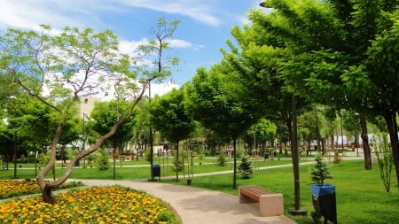 youth park