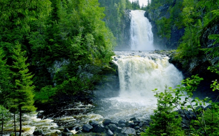 RAINFOREST FALLS - nature, green, waterfalls, rainforest