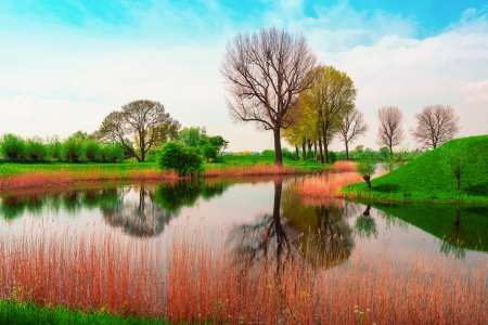 *** Spring in England *** - nature, england, trees, greens, spring