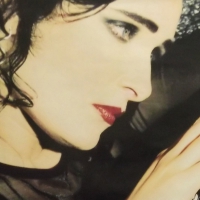 Siouxsie And The Banshees - Superstition