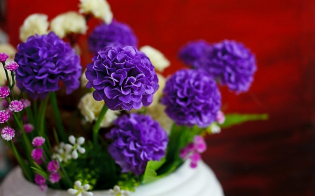 Beautiful flowers - flowers, purple, petals, pretty