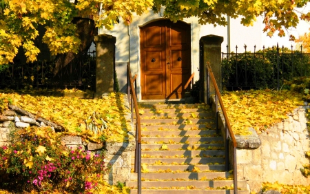 Autumn home - stairs, nice, season, trees, countryside, foliage, welcome, calm, fall, quiet, rural, pretty, yellow, golden, house, rustic, branches, falling, lovely, serenity, nature, door, beautiful, leaves, flowers, colors