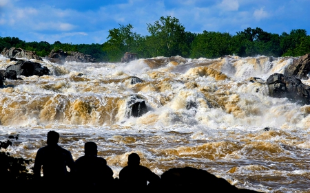 Great Falls, Virginia - nature, waterfalls, trees, usa