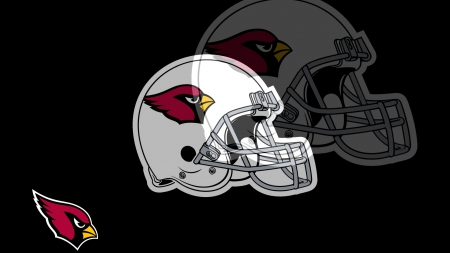 Arizona Cardinals - sports, entertainment, football, other