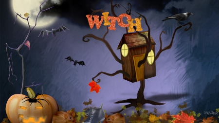 House of Witches - fall, halloween, october, sky, rats, clouds, spider, pumpkins, bats, full moon, web, autumn