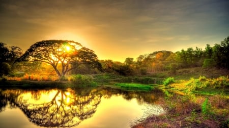 gorgeous sunrise over a lake - lake, trees, reflection, shore, sunrise