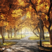 Beautiful Autumn