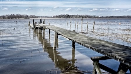 old dock in a lake - weeds, lake, dock, old