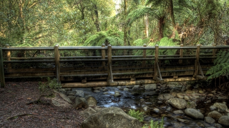 wonderful bridge over a stream in a fern jungle hdr - ferns, jungle, hdr, stream, rocks, bridge