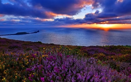 Sunset lake - nice, sky, sundown, sunset, calm, quiet, amazing, reflection, clouds, lake, shore, lovely, nature, beautiful, flowers, sea, wildflowers