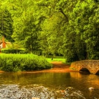 Forest stone bridge