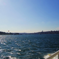 mare