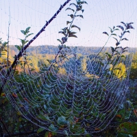 Autumn morning.