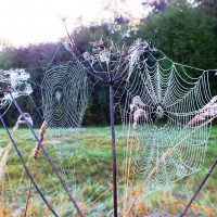 Autumn morning.