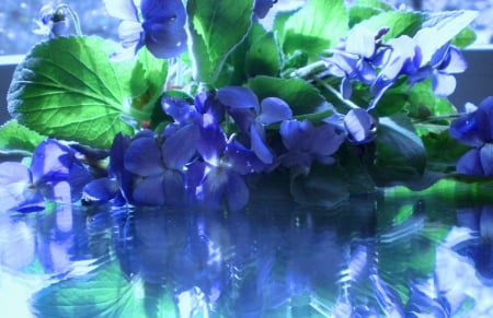 Blue reflection - image, expression, color, new, wallpaper