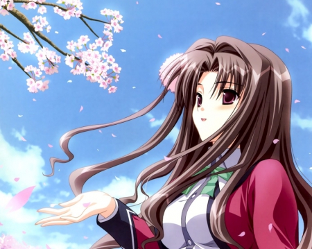 Falling Petals - flower, blossom, anime girl, girl, lady, meaiden, floral, cloud, breeze, pretty, wind, sweet, windy, brown hair, anime, sky, long hair, petals, nice, lovely, female