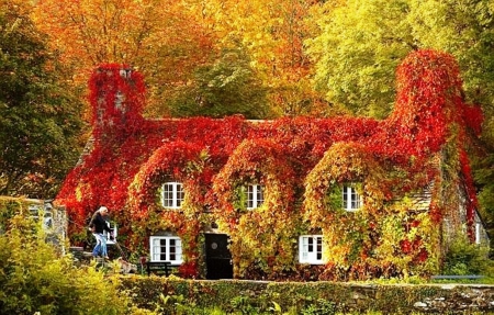 Welsh Village - Autumn, Leaves, Houses, Wales, Fall, Village, Quaint