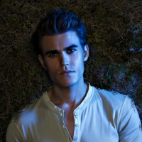 Paul Wesley as Stefan