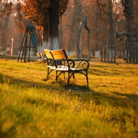 Autumn in the park