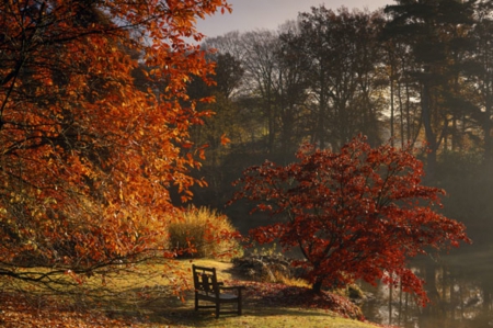 Fall - octombrie, natura, coloreaza, frunzele