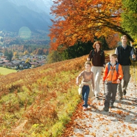 Family walk in the park