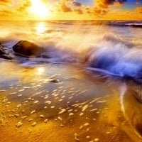 GOLDEN WAVES