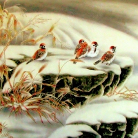 WINTER BIRDIES