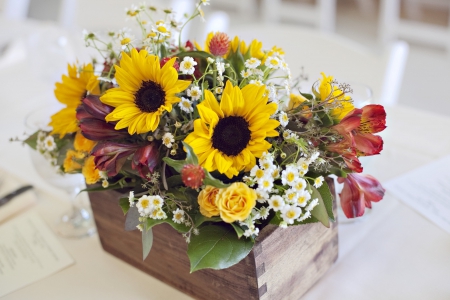 ✿ Box of Loveliness ✿ - sunflowers, yellow, delight, wood, box