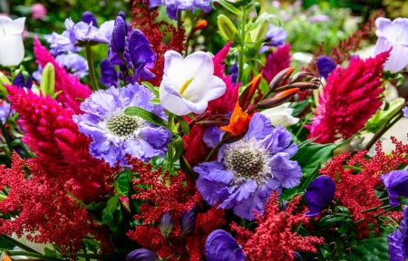 *** Beautiful bouquet *** - flowers, flower, nature, colorful