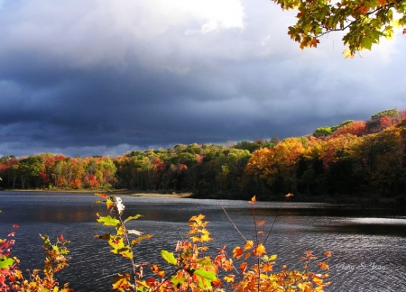 River view in the Fall - Autumn, Leaves, Colors, Clouds, Fall, River