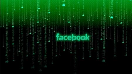 Facebook Green - hd, facebook, comunity, wallpaper