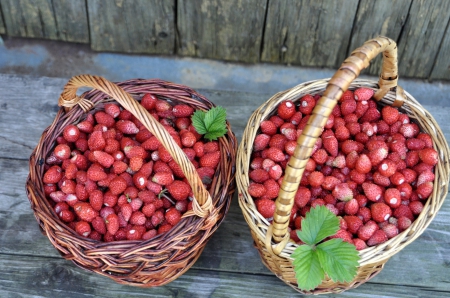 *** Fruits of the forest *** - of the forest, fruits, nature, strawberries