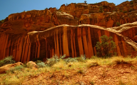 Capitol Reef National Park, Utah - national, reef, brown, capitol, rock, landscape, weeds, mountain, utah, nature, green, sky, park