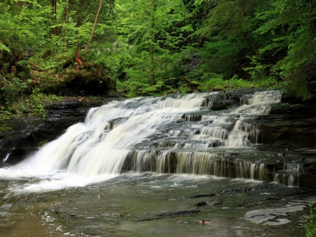 Fillmore Glen State Park, New York - trees, waterfalls, water, summer, forest, leaves, river, white, nature, glen, newyork, state, fillmore, park