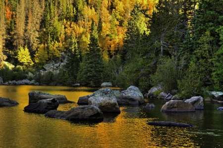 Bear Lake, Rocky Mountains National Park - reflections, trees, water, leaves, stones, colors