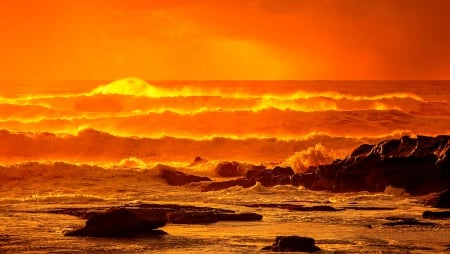 Dawn at the beach - beach, sky, nature, dawn