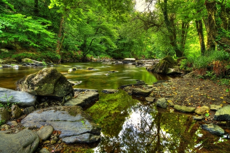 Forest landscape - nice, trees, stream, greenery, creek, quiet, reflection, calmness, river, green, grass, landscape, flow, lovely, serenity, nature, forest, tranquil, beautiful, stones