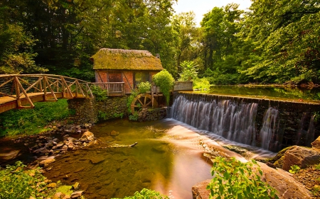 Watermill - quiet, trees, water, summer, beautiful, mill, forest, calmness, watermill, nature, serenity, place