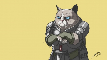 Lord Grumpy - skyphoenixx1, cat, knight, grumpy cat, wallpaper, armor, kitten, lord grumpy, picture, abstract, animal, sword