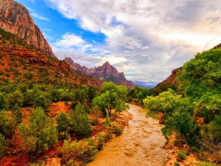 Zion National Park - path, trees, nature, mountain, park