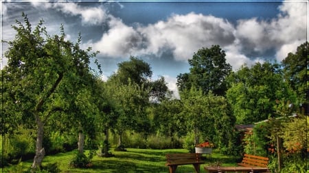 wonderful fruit trees in the backyard hdr - clouds, backyard, trees, hdr, benches, lawn