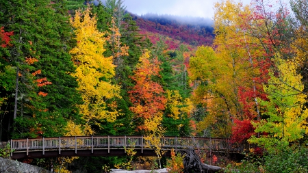 bridge in an autumn forest - autumn, forest, mountain, bridge, rocks