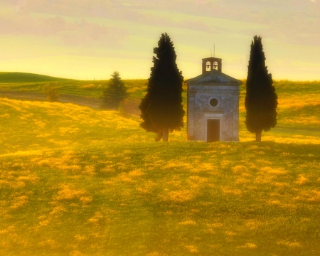 Tuscany - trees, tuscany, nature, fields