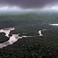 Lope National Park, Gabon Africa